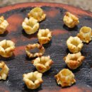 감꽃향기 이미지