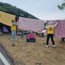 붕붕카클리닉 이미지