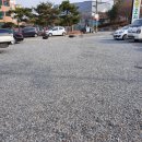 황금오리셋 이미지