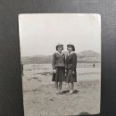홍지주 이미지