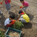 덕수농원 이미지