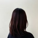 니유헤어