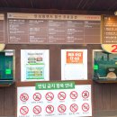 목동인라인트랙 | 안성팜랜드 핑크뮬리 할인 코스모스 카트 아이랑