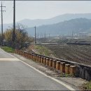 충화 팔충사 이미지