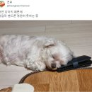 안녕하세요 이미지