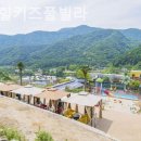 풀빌라 바니 이미지