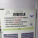 구두레 | 대학로 혜화 연극 추천｜힐링 연극 명작 아모르파티 솔직후기