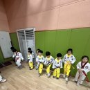 다온태권도장 | 부산 남구 유치부 태권도, 단체전 전원 금메달… 남구청장기 대회 현장