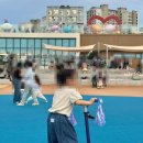 신지생태공원 | 뉴발란스 키즈 운동화 아동 어린이 신발 추천 사이즈 팁 PV1906CW 180