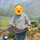 경언농장 이미지