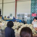 곡성(천안) 이미지