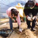 초아농원 이미지