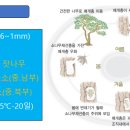 소나무병원 이미지