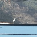 1급우승자동차정비 이미지