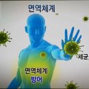 뉴욕대학병원약국 | 바이러스 시대의 최강 면역 트랜스퍼 팩터 - 건강하고 행복하게 살기 위한 필수 키워드