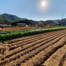 여주-0662 네이버블로그