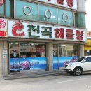 (주)동양렌트카 이미지