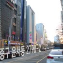 브라운 도트 이미지