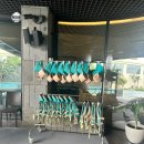 헬스장 | 제주도 호텔 파르나스 제주 수영장 시간 헬스장 후기
