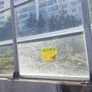 포은대로 이미지