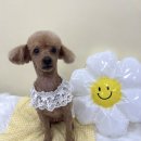 우연이미용실 이미지