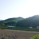 가호동23 이미지