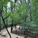 골안어린이공원 | 불곡산 정상까지