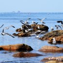 바닷가 풍경 이미지