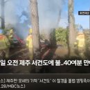 제주도 섬에 화재 발생시킨 불법 캠핑족 등장 . gif 이미지