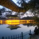 안압지농장 이미지