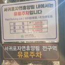 잔디마당 자동차 야영장 이미지