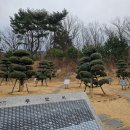 상복공원 장례식장 네이버블로그