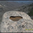 경포대주차장 이미지