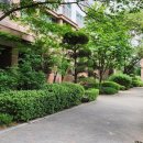 파인애플세탁소 이미지