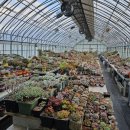 부영다육농장 이미지