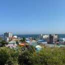 구룡포904수산