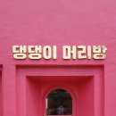 댕댕이 머리방 이미지