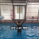 하조대 에코하임 사계절 온수풀 앤 스파펜션 이미지