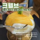백옥대로 | 용인 생망고빙수 맛집 크웰브 내돈내산 후기 대형 베이커리 카페 데이트코스 추천