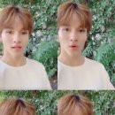 사무엘 카카오 검색결과