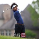 (주)팍스투어 이데일리