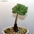 대황농장 이미지