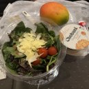 큐빌리아드클럽 | 3월 멜버른 4박5일 여행 후기(Day2) - 그레이트오션투어 땡스투어 내돈내산 솔직후기, 야경 명소