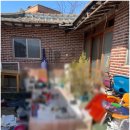 삼애식품 이미지