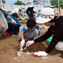 성주사지 이미지