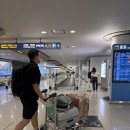 서부로R | 영알못 미국 서부 여행 / 샌프란시스코 에어프레미아 3번 변경한 후기(수수료는 한 번만 냄)