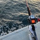 본산로 | 부산 영도 하리항 나이스호 선상 볼락 열기 낚시 | 에버웨이브 소프트루어세트 사용 후기