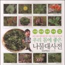 [도서후기] 우리 몸에 좋은 나물대사전 - 솔뫼