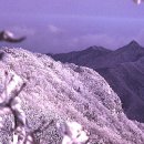 강촌폭포펜션 이미지