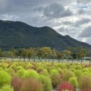 황산공원 족구장 이미지